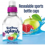 Radnor Splash - Apple & Raspberry - 12 x 500ml